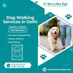 Dog Walking Services in Delhi