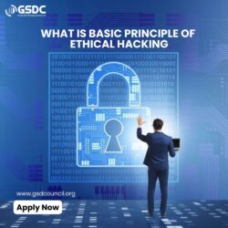 What Is Basic Principle Of Ethical Hacking