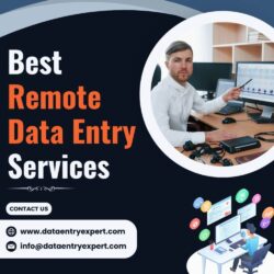 Remote Data Entry Services (2)