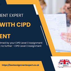 Get Help with CIPD Level 3 Assignment