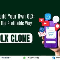 Build Your Own OLX: The Profitable Way