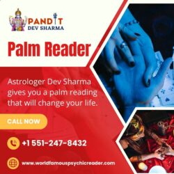 palm reader -smo