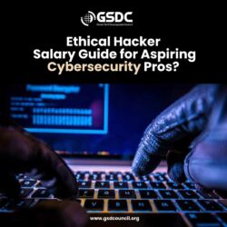 Ethical Hacker Salary Guide for Aspiring Cybersecurity Pros