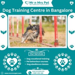 Dog Training Centre in Bangalore