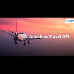 Amadeus Travel API (2)