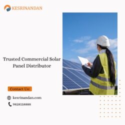 Trusted Commercial Solar Panel Distributor