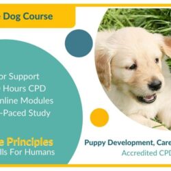 Puppy-Development-Care-Coaching-Diploma (1)