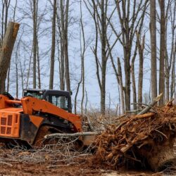 tree-clearing-housing-preparation-land-new-residential-development_73110-13883