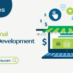 Professional Shopify Development Partner