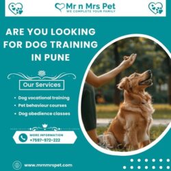 Dog Training in Pune