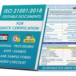 iso 21001 consultant