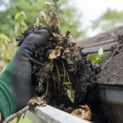 Professional Gutter Cleaning in Aurora CO