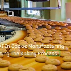 biscuit making machine manufacturers (1)