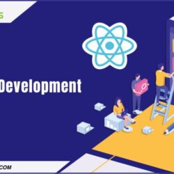 Trusted  React JS Development Company