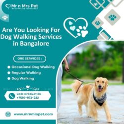 Dog Walking Services in Bangalore