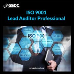 iso 9001 lead auditors professional