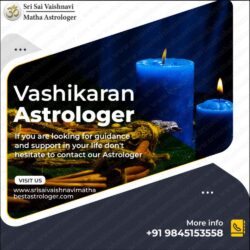 Vashikaran-Astrologer