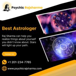 Best astrologer img