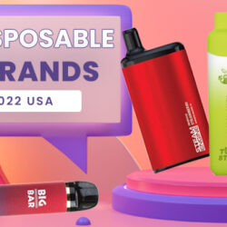 5 best disposable brands