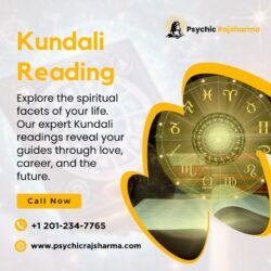 kundali reading img