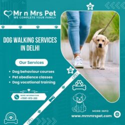 Dog Walking Services in Delhi