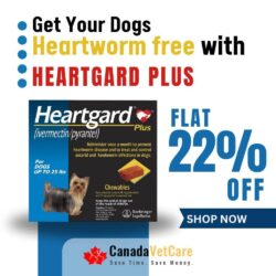 Heartgard Plus y (2)