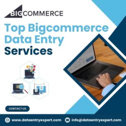 Top Bigcommerce Data Entry Services (1)