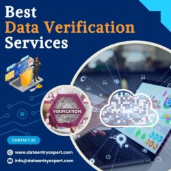 _Best Data Verification Services