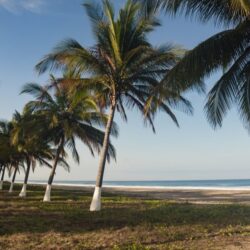 Land For Sale in Playa Tortugas