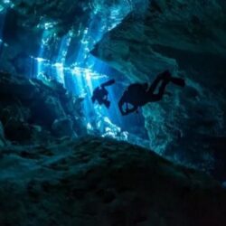 Cenote Diving