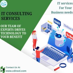 it services (2)