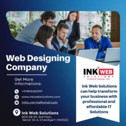 Top Best  Guide to Finding Top Web Designing Company in Mohali