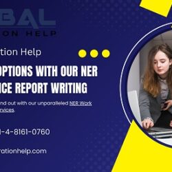 Elevate Your Options with Our NER Work Experience Report Writing