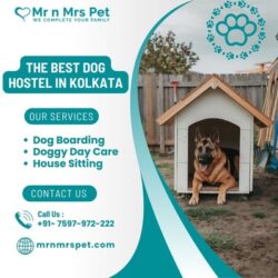 Dog Hostel in Kolkata