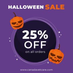 CVC-SMP-Halloween-SalE-CL