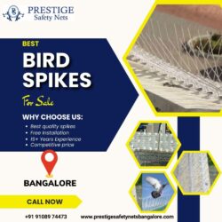 Best Bird Spikes in Bangalore