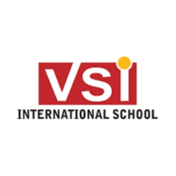 VSI International 480x480