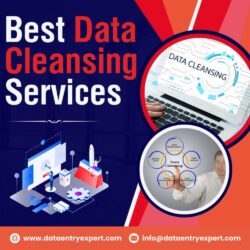 Best Data Cleansing Services