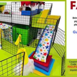 Fall Into Fun Bring the Outdoors Inside for Your Guinea Pigs!