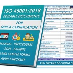 iso 45001 consultants