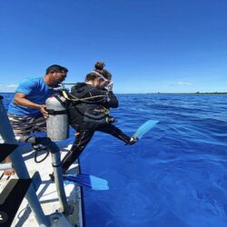 Cancun Diving