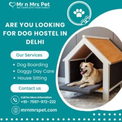 Dog Hostel in Delhi