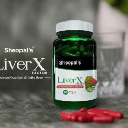 PRODUCT-DESCRIPTION_Liver_X_factor