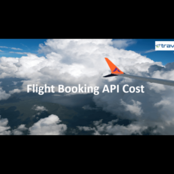 Flight Booking API Cost