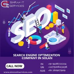 SEO Company in Mandi