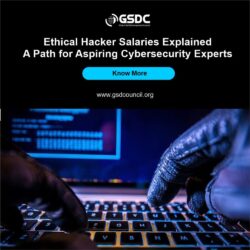 Ethical Hacker Salaries Explained A Path for Aspiring Cybersecurity Experts