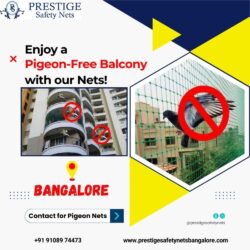 Pigeon Safety Nets in Bangalore