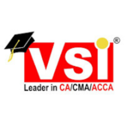 VSI Logo 480x480