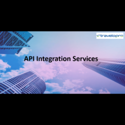 API Integration Services (1)