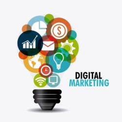 lone-fir-creative-Which-Digital-Marketing-Services-Are-Right-For-You